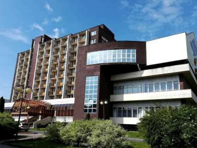HOTEL SATEL foto