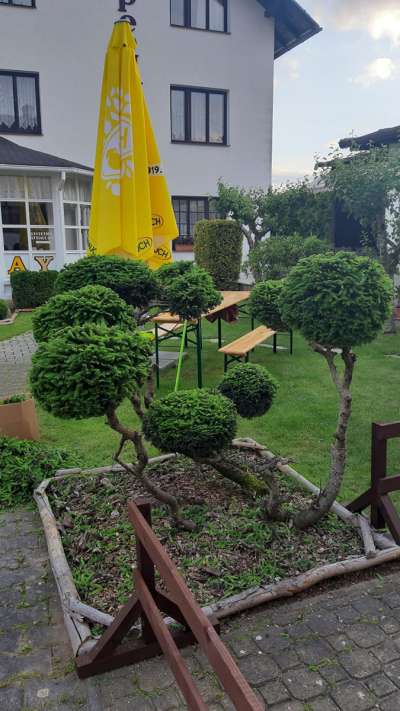 HOTEL VOLČÍK