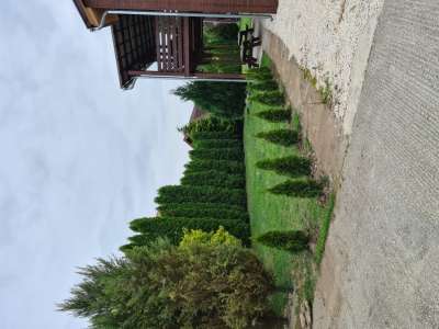 APARTMÁNY NA VADAŠI