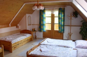 PENZION AUREL foto