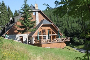 HORSKÝ HOTEL VIDLY foto