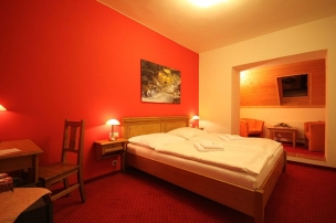 HORSKÝ HOTEL VIDLY foto