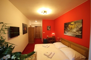 HORSKÝ HOTEL VIDLY foto