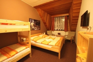 HORSKÝ HOTEL VIDLY foto