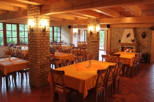 HORSKÝ HOTEL VIDLY foto