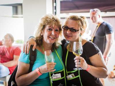 Autor fotografie: http://www.vinozcejkovic.cz/fotogalerie